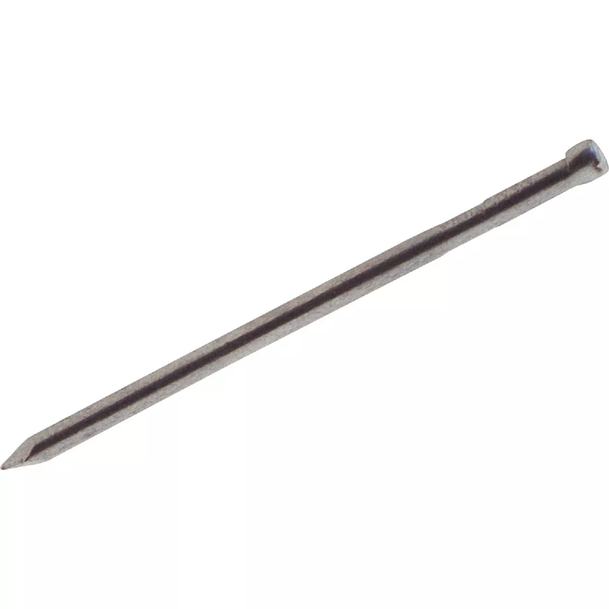 Do it Best 2-1/2 In. 8d Bright Finishing Nails (9800 Ct., 50 Lb.)