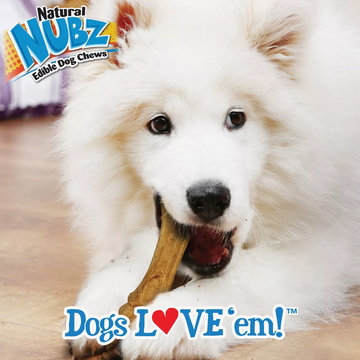 Nylabone Nubz Natural Long Lasting Edible Bully Stick Grain Free Grande Dog Chews (2-Pack) - photo 3