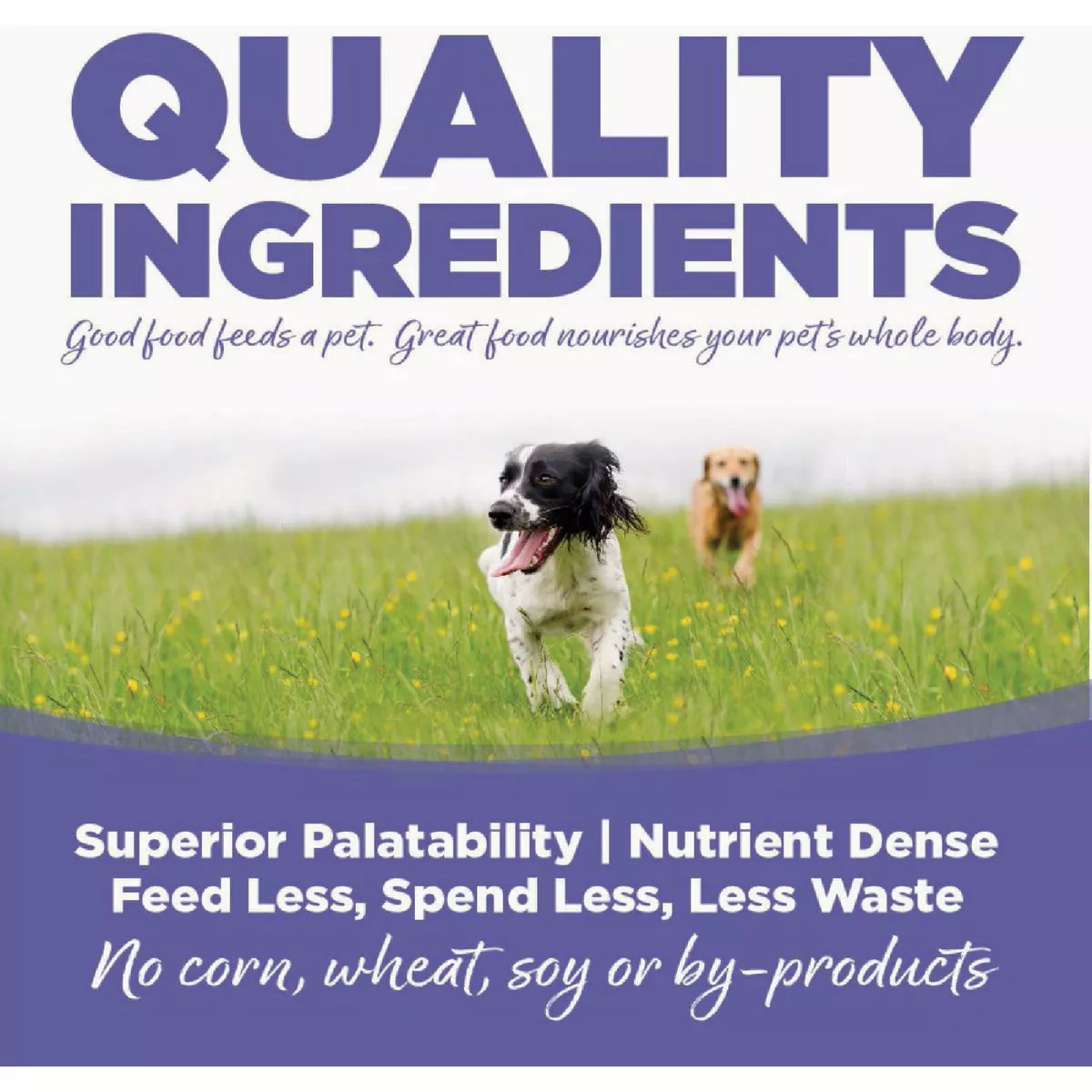 NutriSource 26 Lb. Trout & Rice Recipe Large Breed Dog Food - photo 6