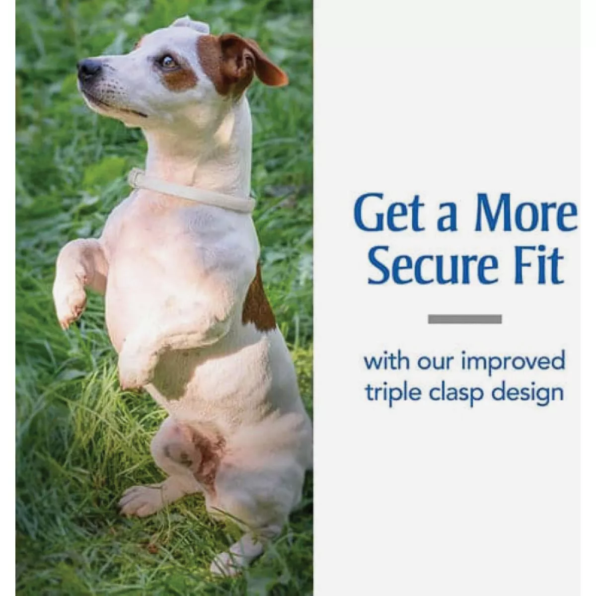 PetArmor Dog Flea & Tick Dog Collar - photo 5