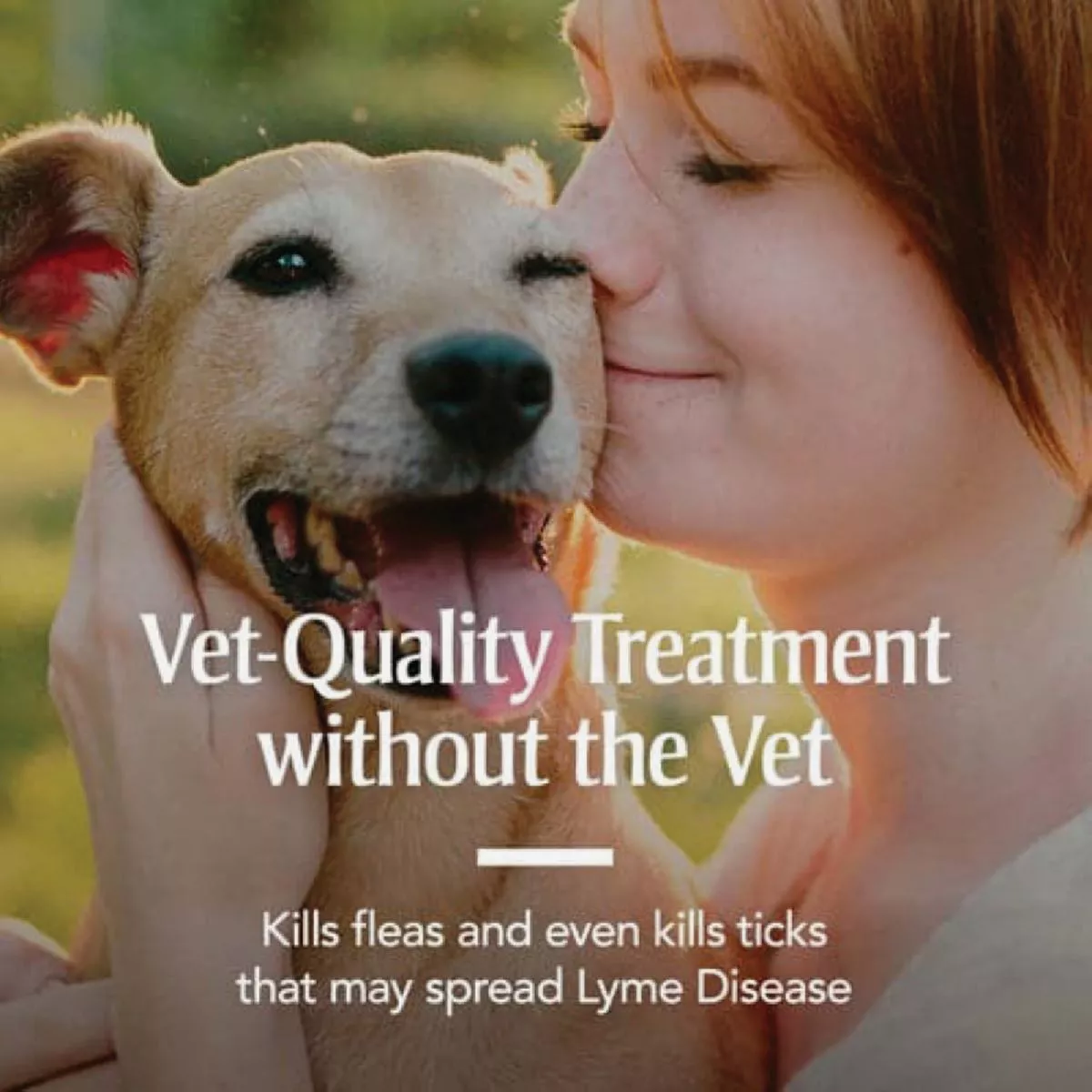 PetArmor Dog Flea & Tick Dog Collar - photo 3