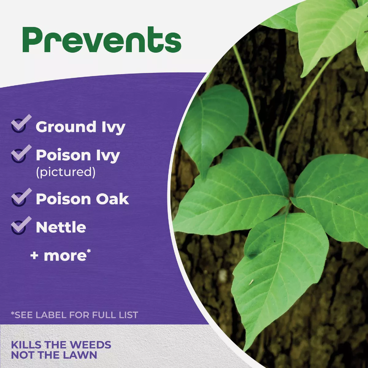 Bonide 32 Oz. Ready To Use Trigger Sprayer Poison Oak & Ivy Killer - photo 3