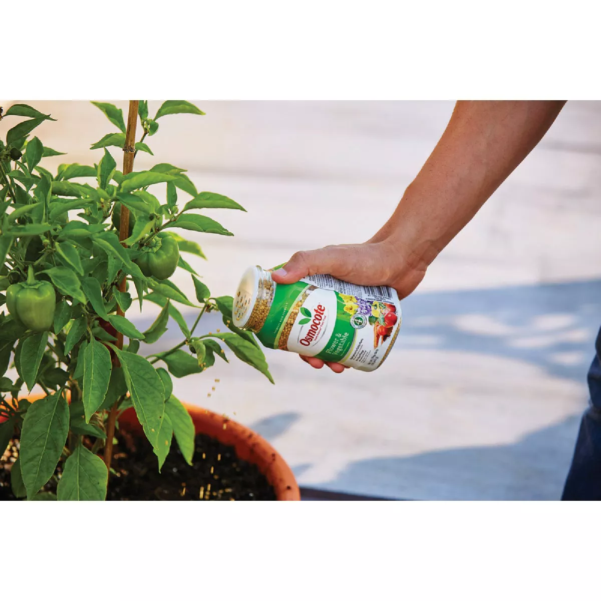 Osmocote Smart-Release 1 Lb. Flower & Vegetable Plant Food - photo 5