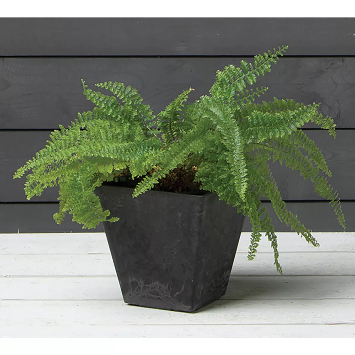 Novelty ArtStone Ella 6 In. W. x 6 In. H. x 6 In. L. Black Resin Planter - photo 4