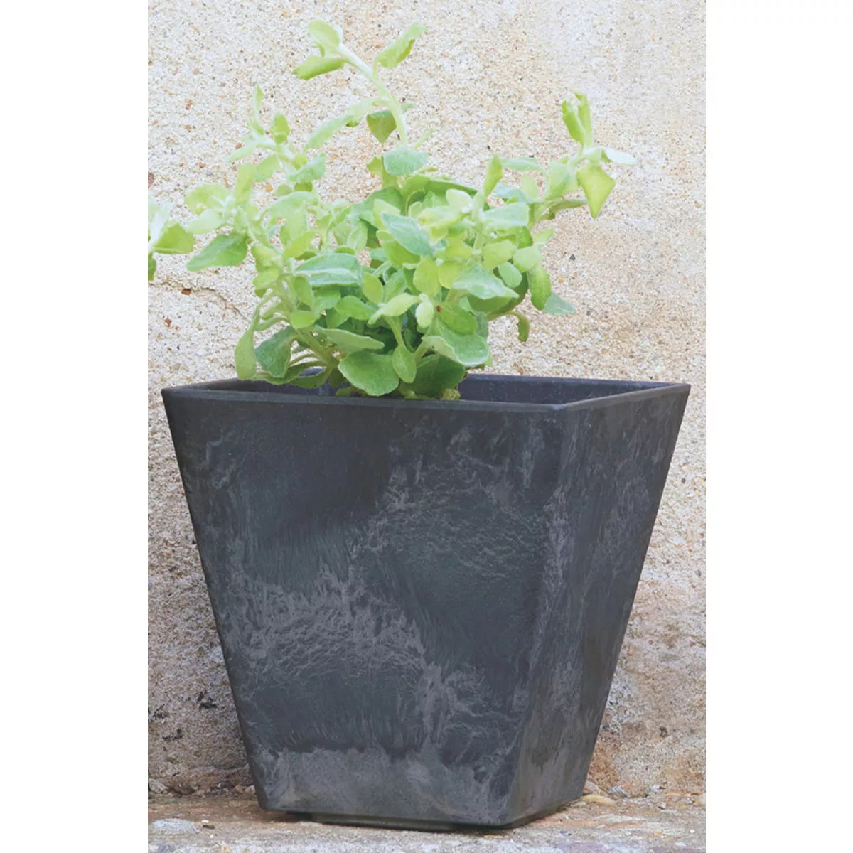 Novelty ArtStone Ella 6 In. W. x 6 In. H. x 6 In. L. Black Resin Planter - photo 5