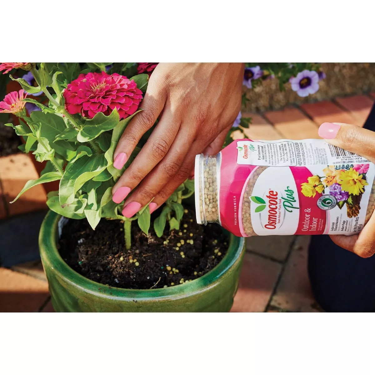 Osmocote Smart-Release Plus 1 Lb. Outdoor & Indoor Plant Food - photo 5