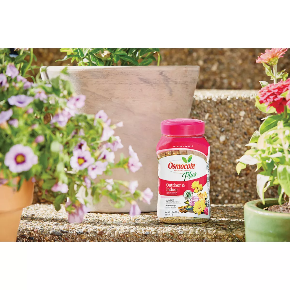 Osmocote Smart-Release Plus 1 Lb. Outdoor & Indoor Plant Food - photo 2