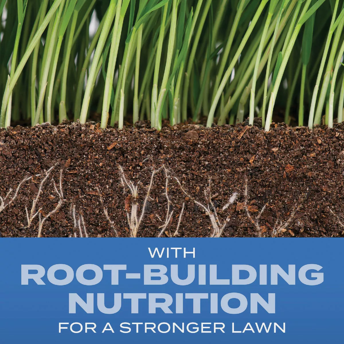 Scotts Turf Builder 16 Lb. 1330 Sq. Ft. Sun & Shade Mix Grass Seed, Fertilizer, and Soil Improver Combination - photo 2