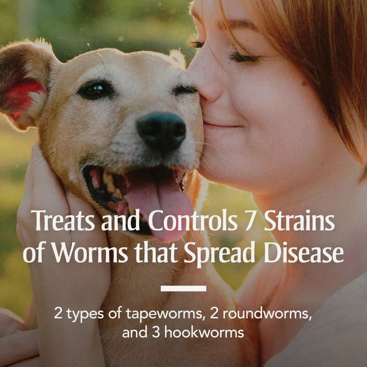 PetArmor 7-Way De-Wormer for Medium & Large Dogs (2-Pack) - photo 3