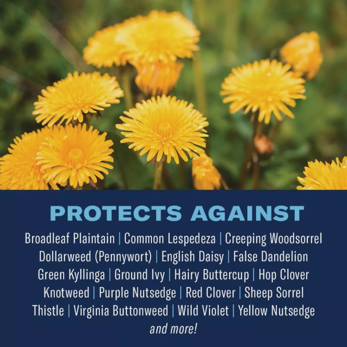 BioAdvanced 3-In-1 20 Lb. Southern Weed & Feed - photo 2