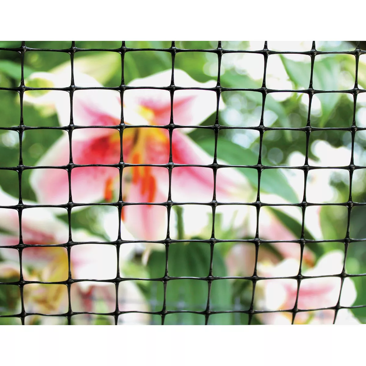 Tenax 3/4 In. x 3/4 In. Mesh 7 Ft. x 100 Ft. Black Plant & Pond Net - photo 4