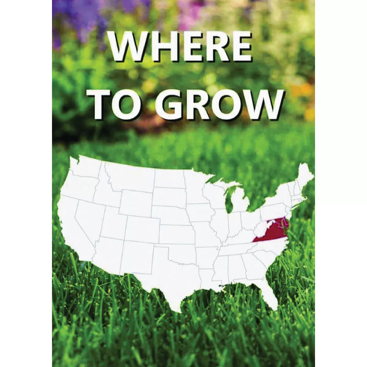 Jonathan Green Black Beauty Delmarva 7 Lb. 2150 Sq. Ft. Coverage Tall Fescue Grass Seed - photo 2