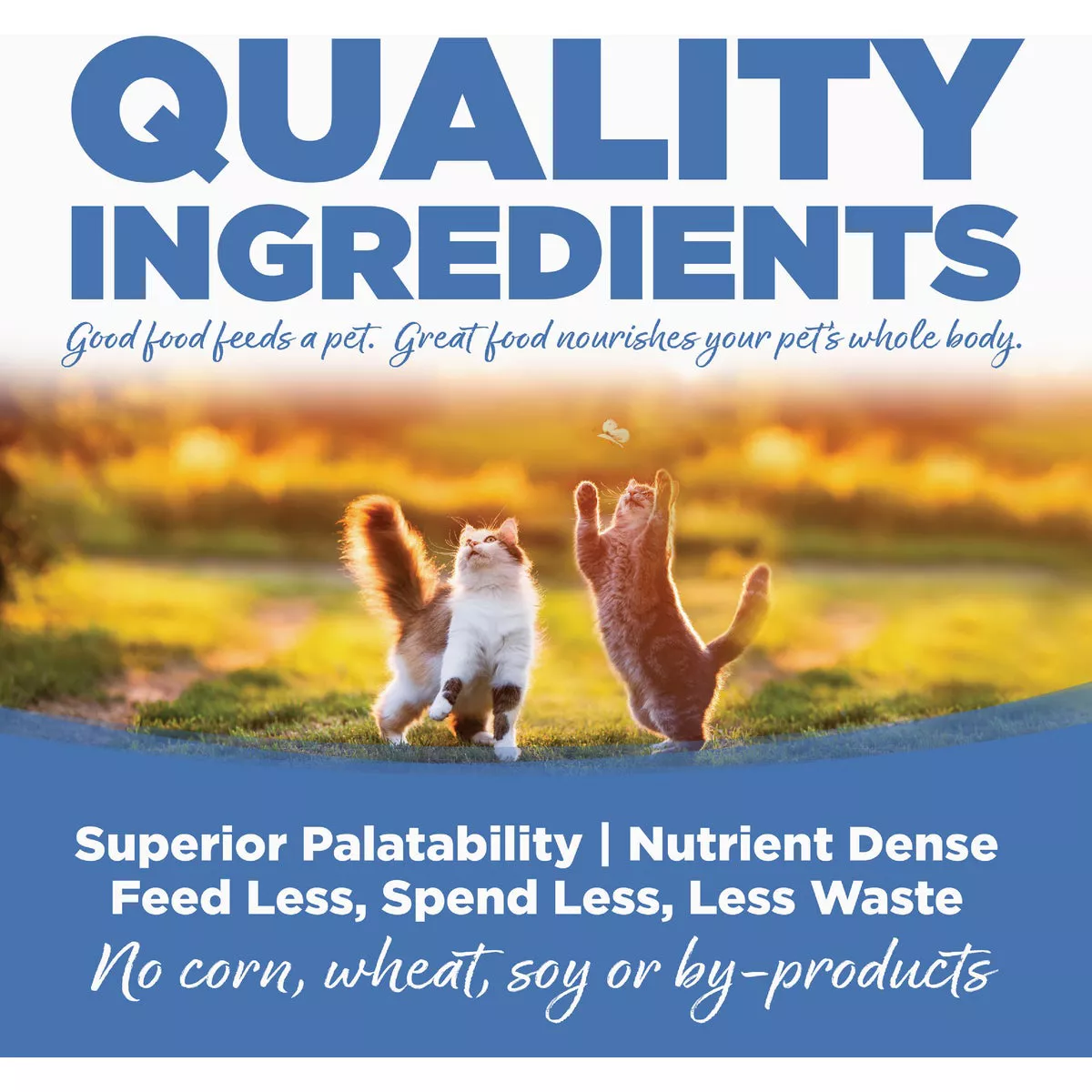 NutriSource 4 Lb. Chicken Meal, Salmon, & Liver Dry Cat & Kitten Food - photo 5