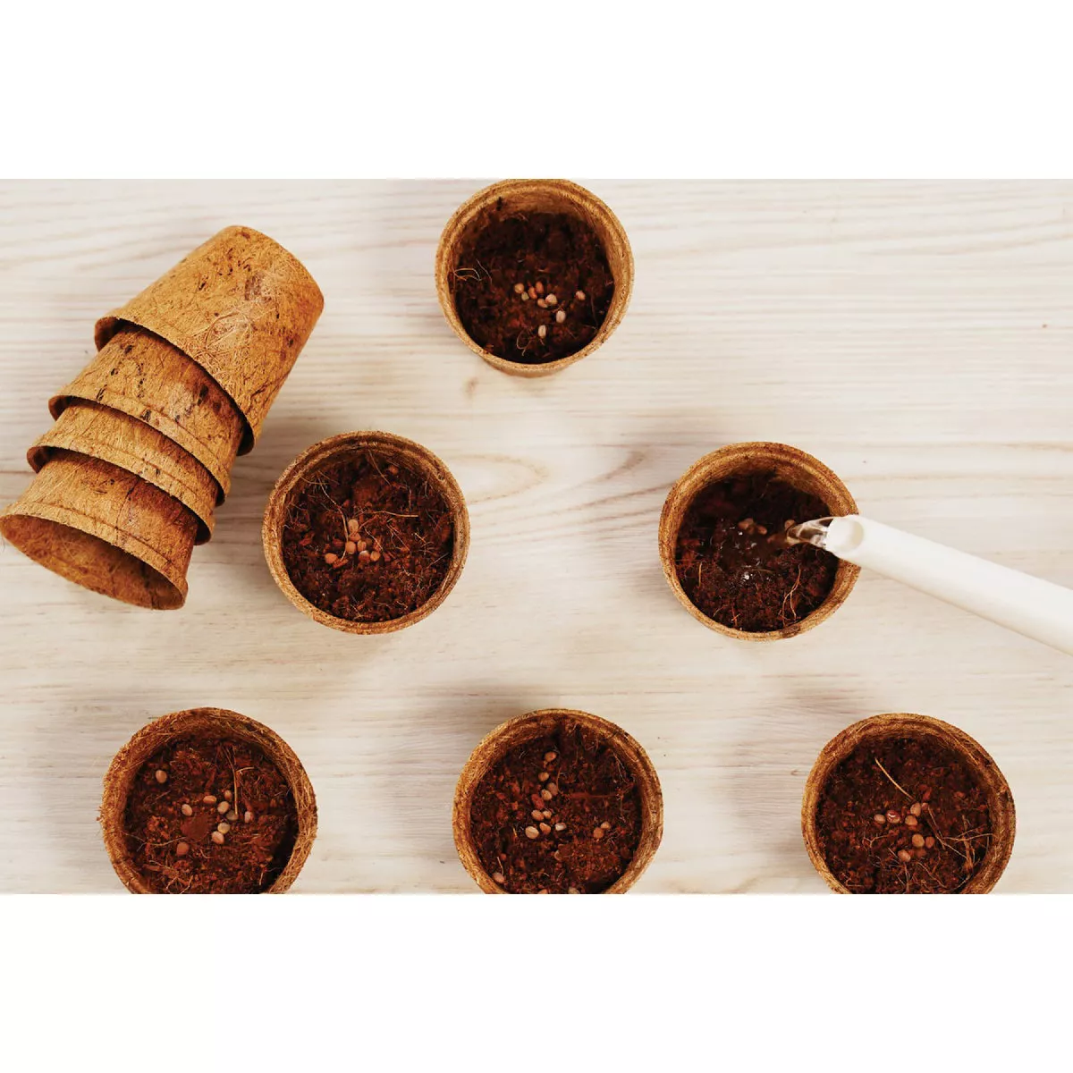 PlantBest 2.5 In. Coconut Coir Plantable Pot (12-Pack) - photo 3