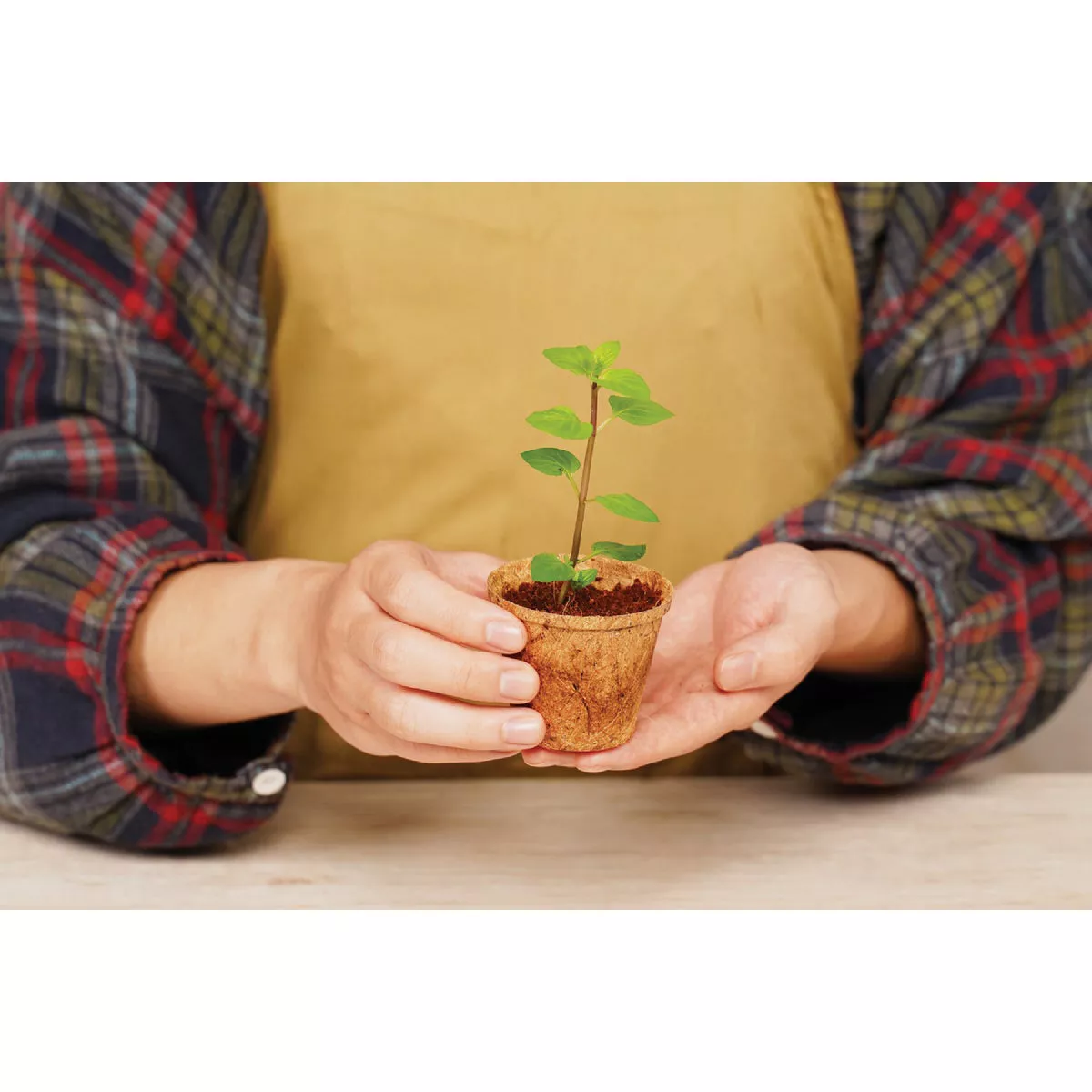 PlantBest 2.5 In. Coconut Coir Plantable Pot (12-Pack) - photo 4