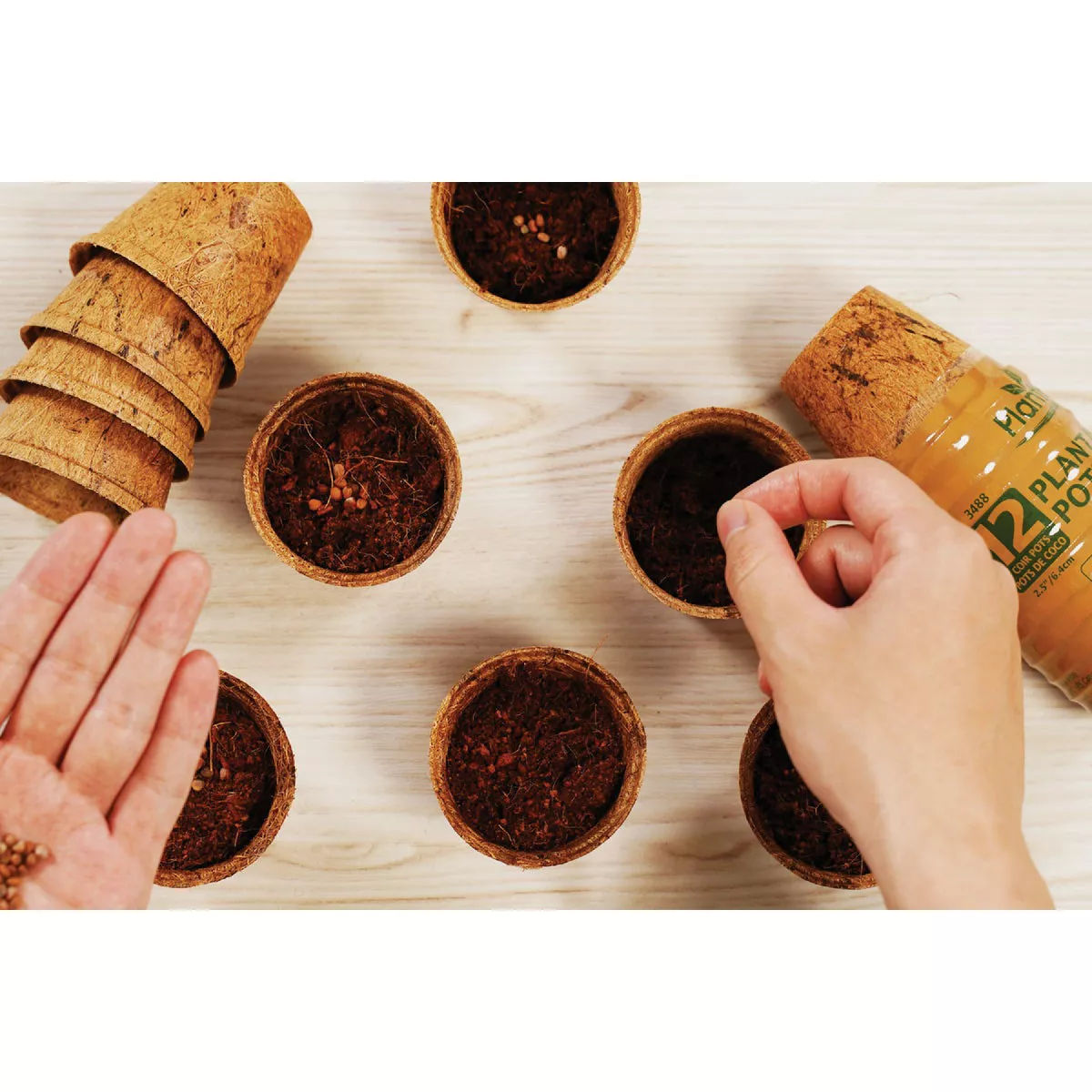 PlantBest 2.5 In. Coconut Coir Plantable Pot (12-Pack) - photo 2