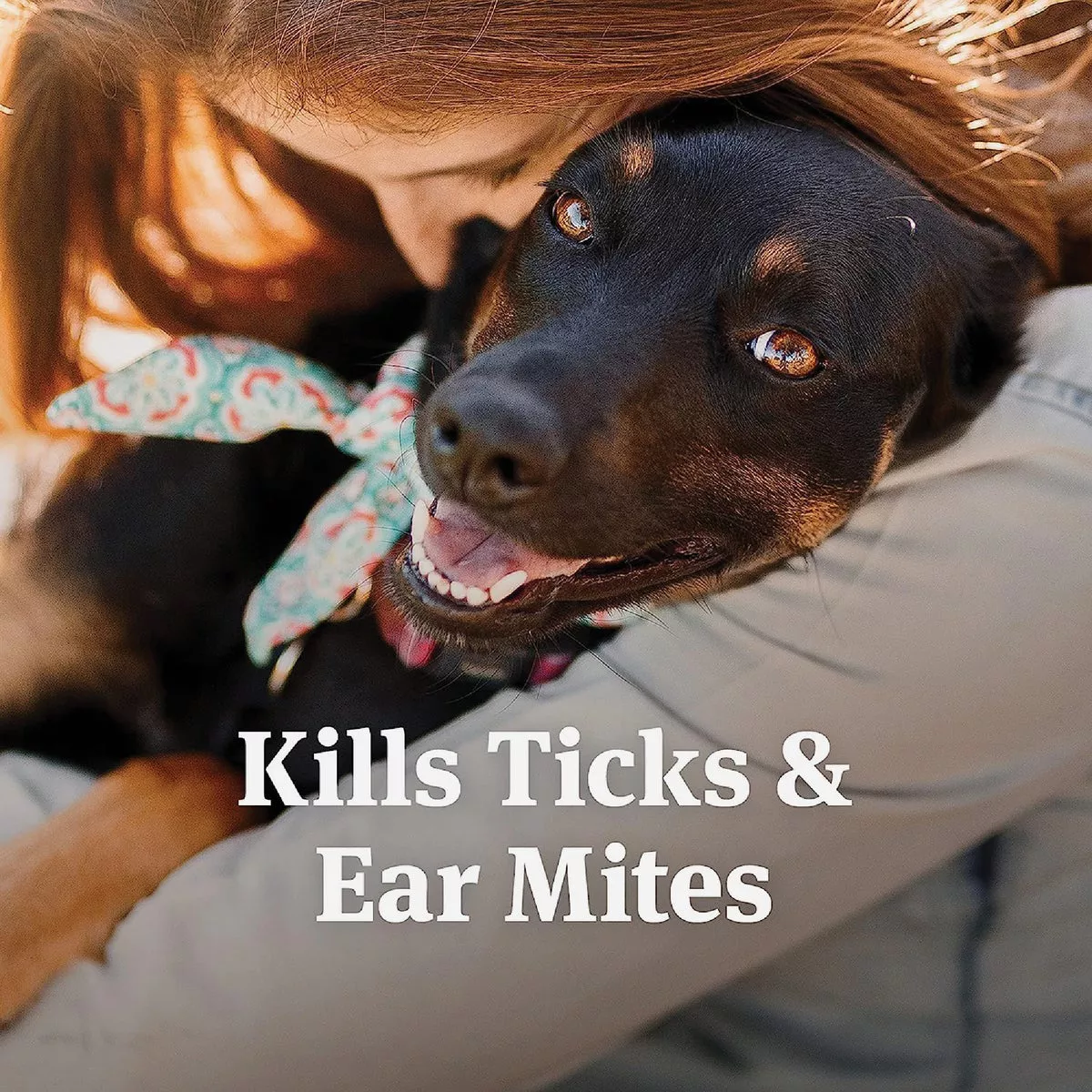 PetArmor 3 Oz. Ear Mite & Tick Treatment for Dogs - photo 5