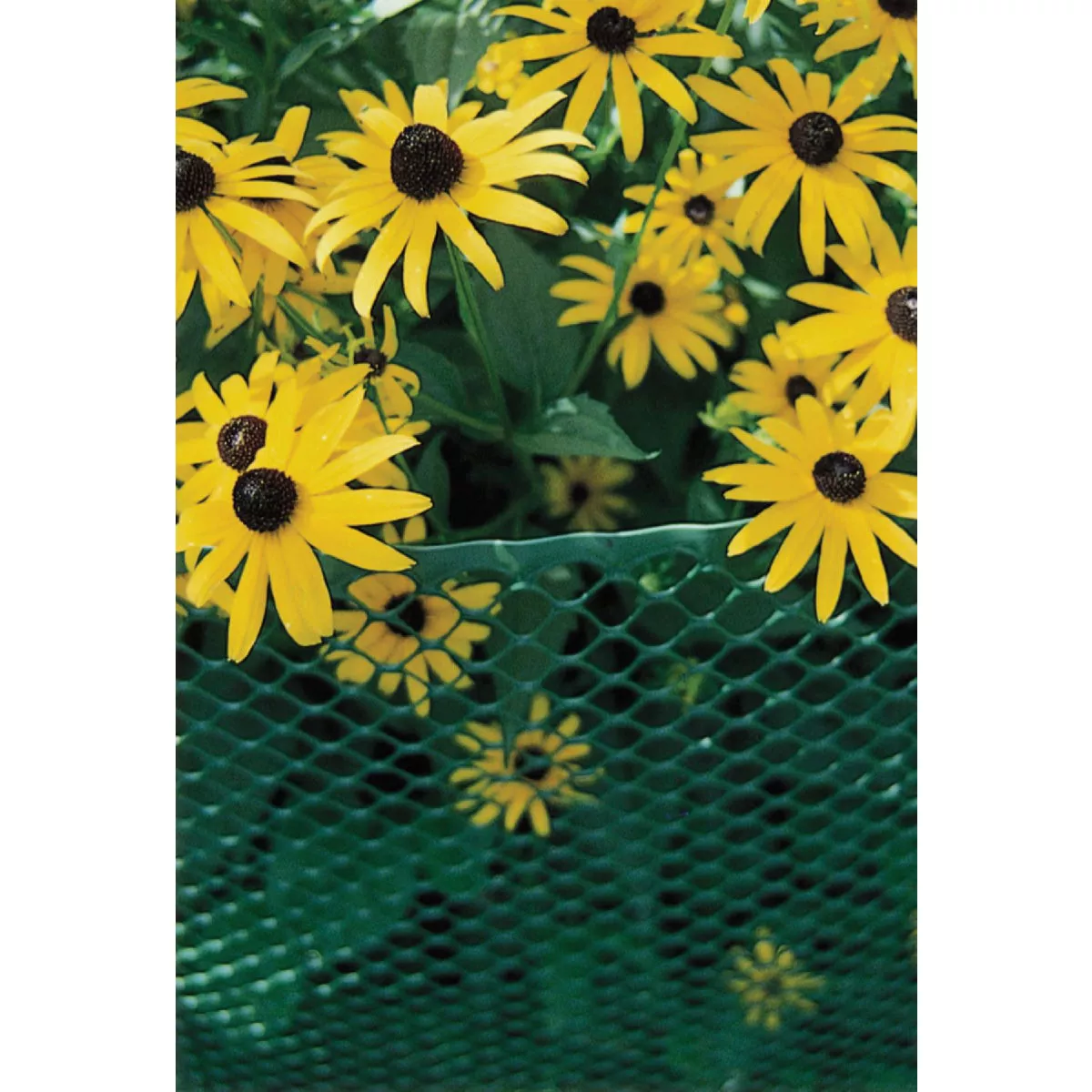 Tenax 4 Ft. x 25 Ft. Green High Density Polyethylene Poultry Fence - photo 5