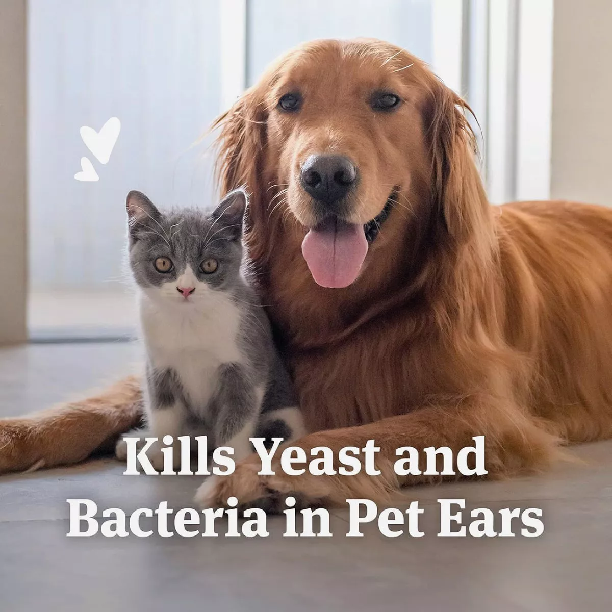 Pet Armor 4 Oz. Ear Rinse for Dogs & Cats - photo 4
