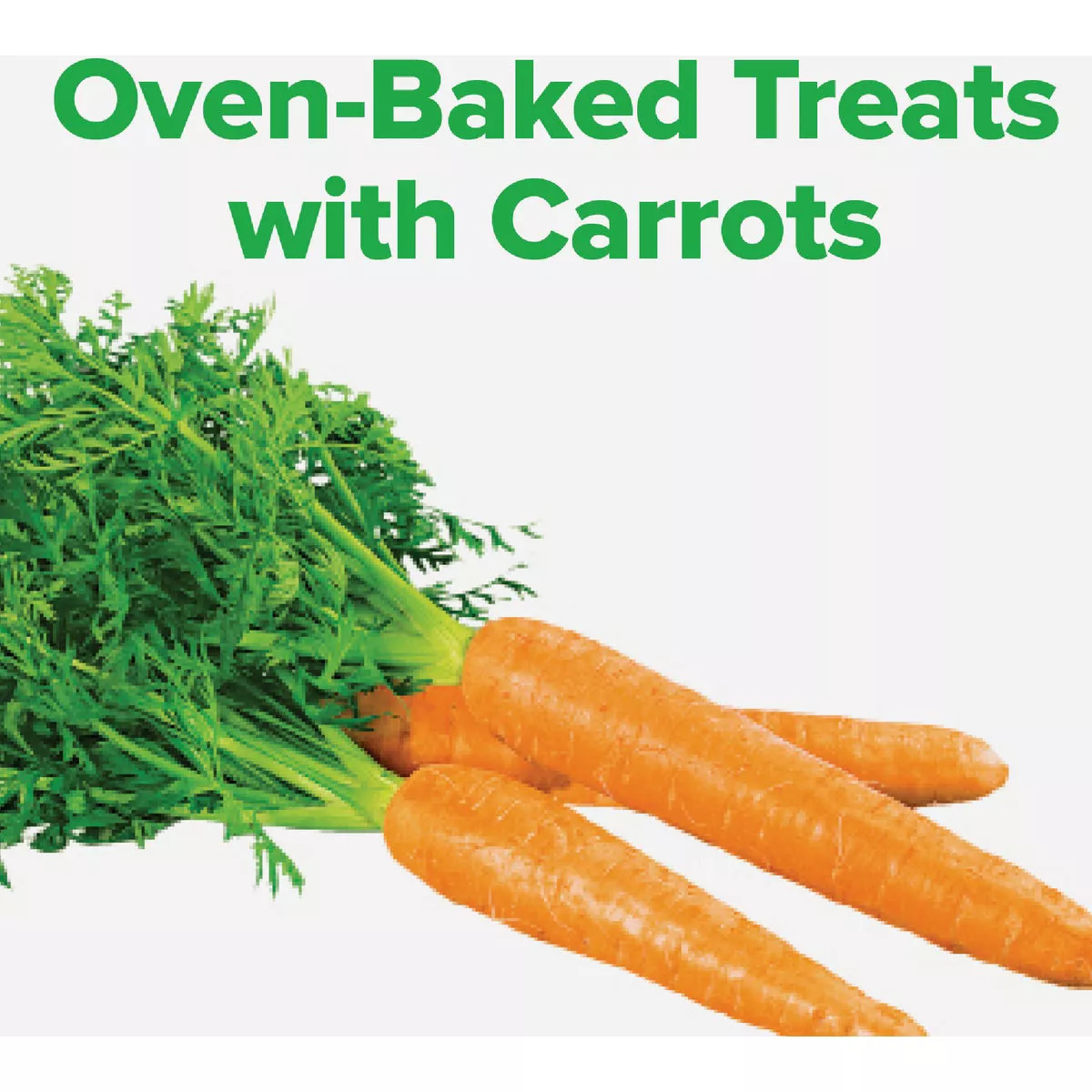 Kent Rounders 30 Oz. Carrot Horse Treats Do it Best