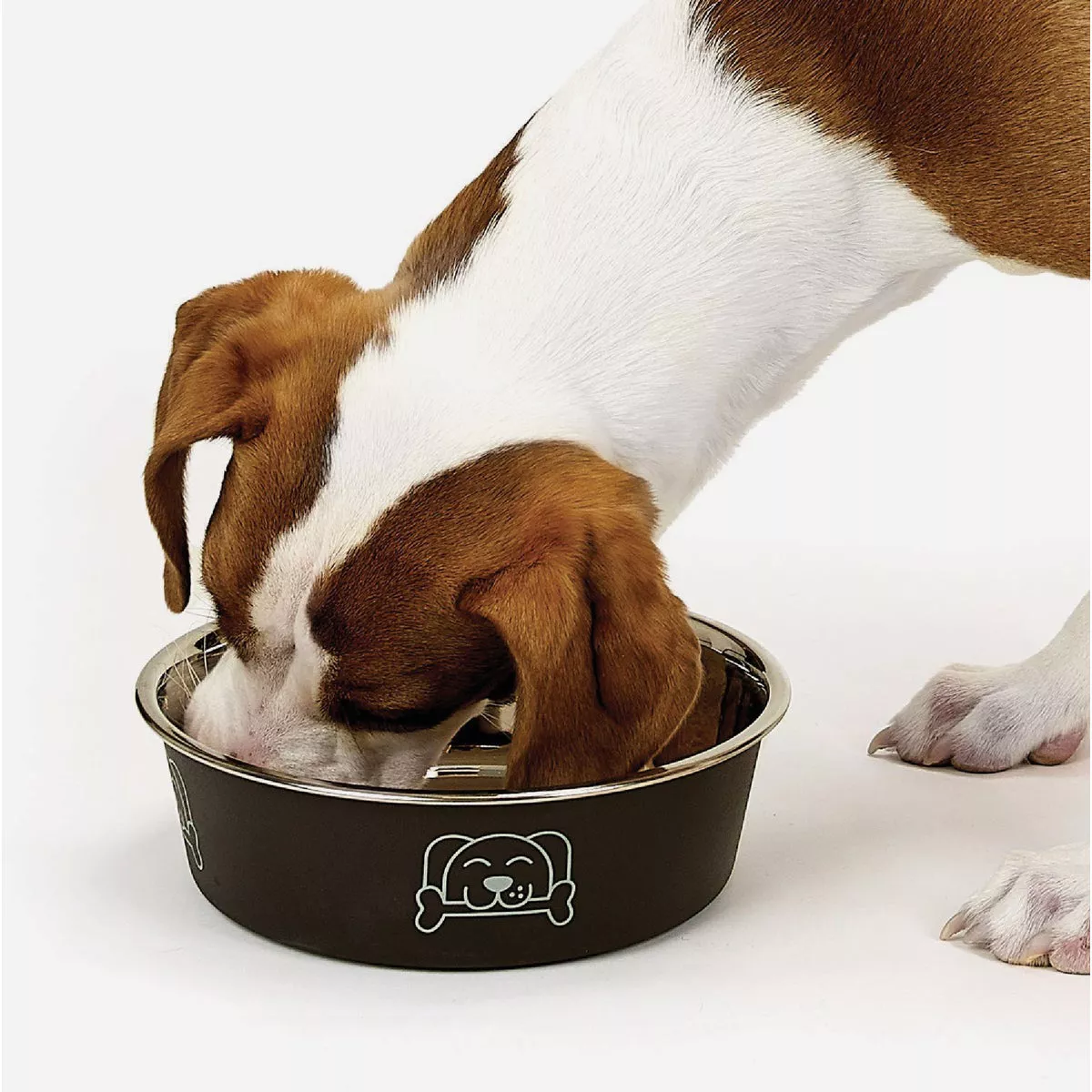 Boss Pet ProSelect XL Espresso Goodie Bowl - photo 3