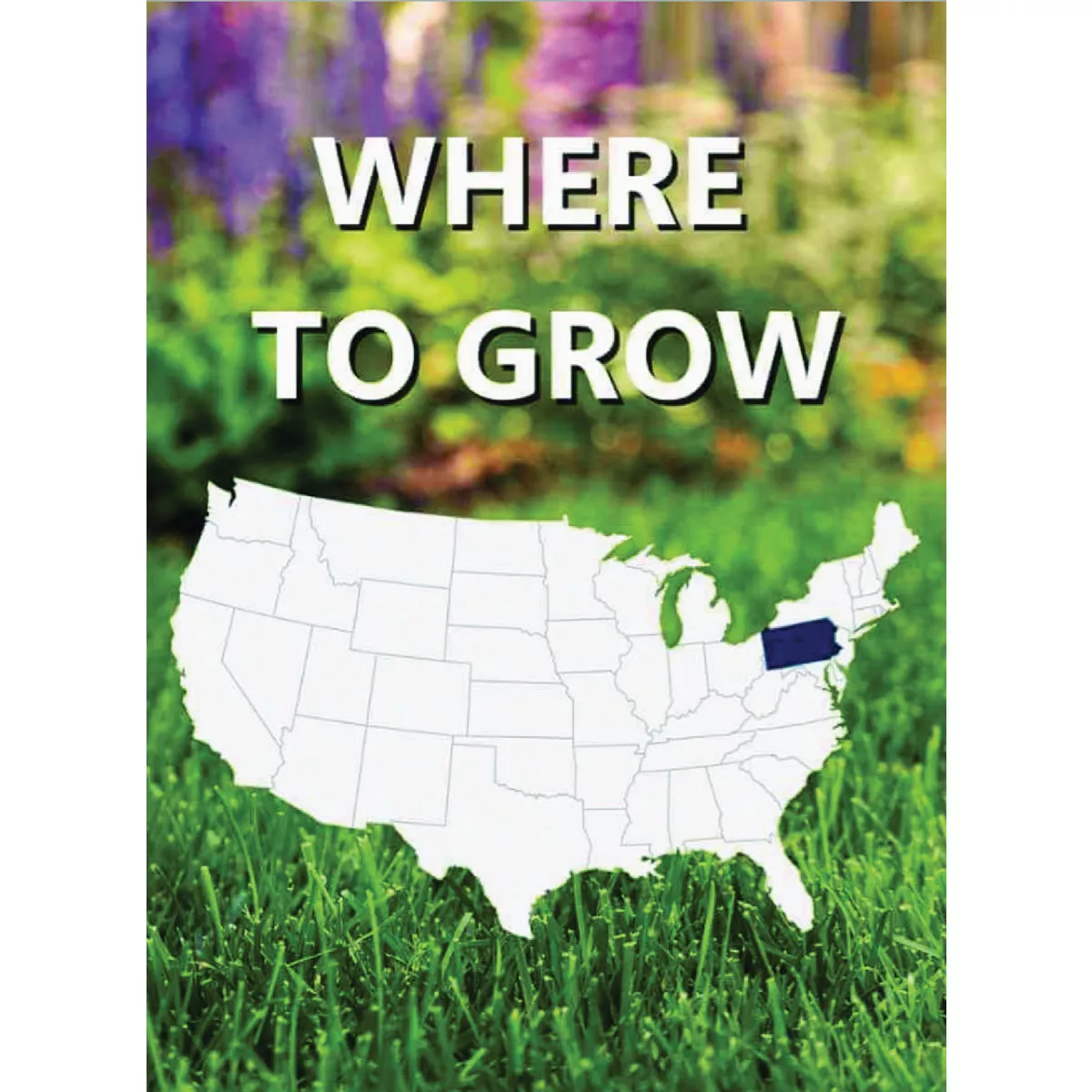 Jonathan Green Black Beauty Keystone 7 Lb. 5250 Sq. Ft. Coverage Tall Fescue Grass Seed - photo 2