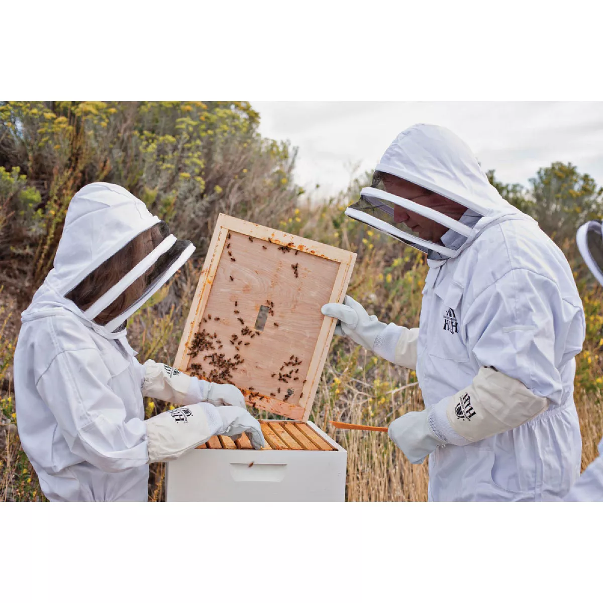 Harvest Lane Honey Medium Goatskin Leather Beekeeping Gloves - photo 3