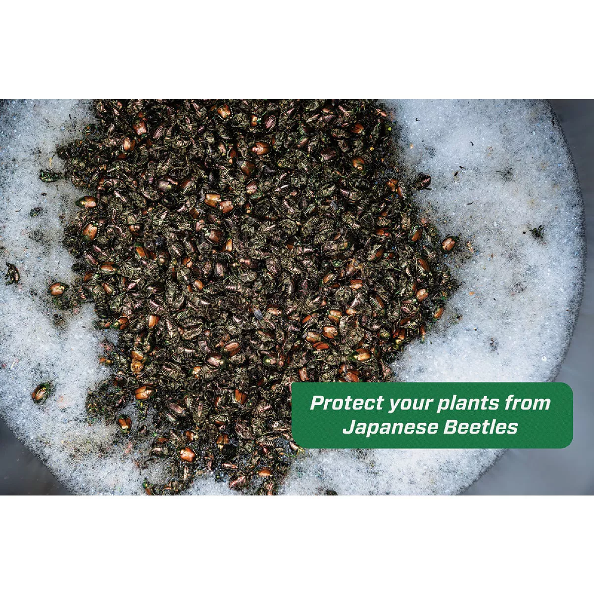 Rescue Plastic Japanese Beetle Trap Refill - photo 4