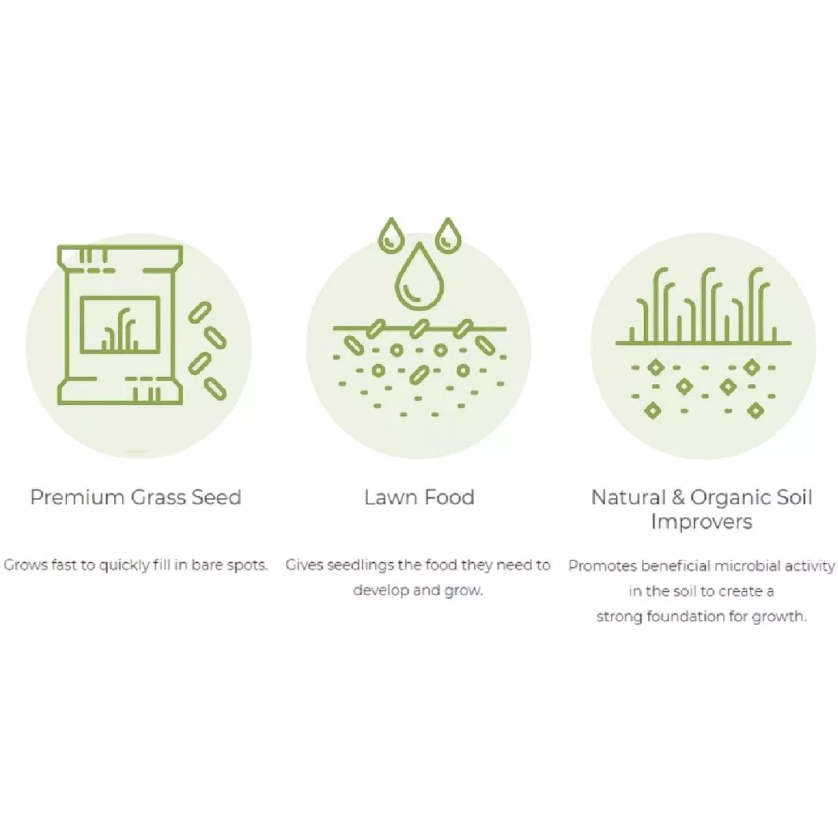 Earth Science 5 Lb. 100 Sq. Ft. Coverage Northern Sun & Shade Grass Patch & Repair - photo 4