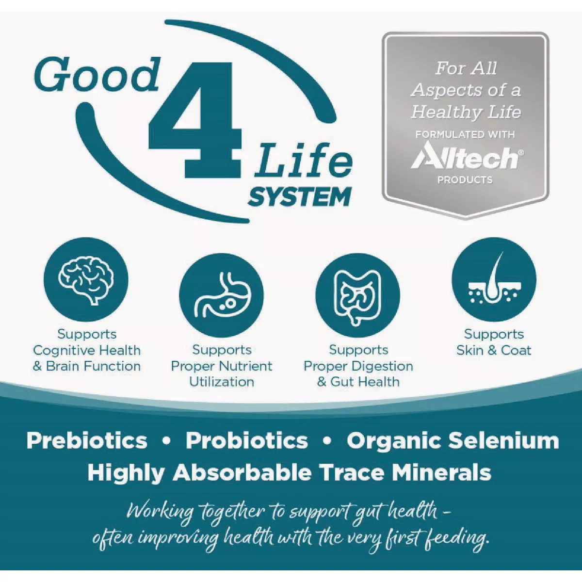 NutriSource 12.3 Oz. Turkey & Rice Recipe Wet Dog Food - photo 2