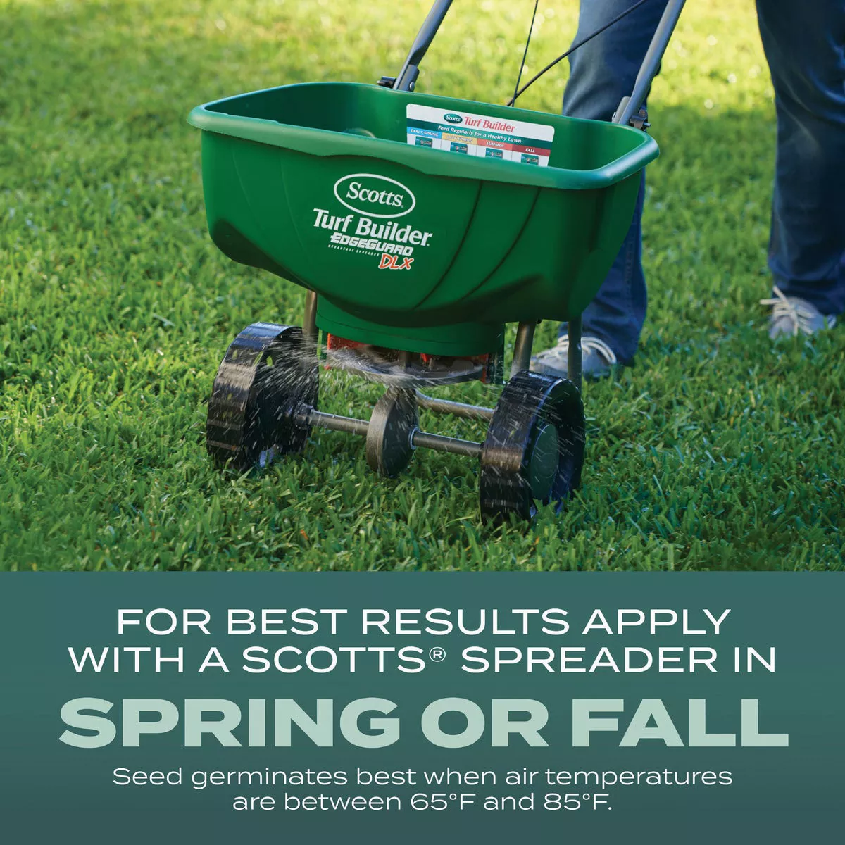 Scotts Turf Builder 2.4 Lb. 200 Sq. Ft. Dense Shade Mix Grass Seed, Fertilizer, and Soil Improver Combination - photo 5