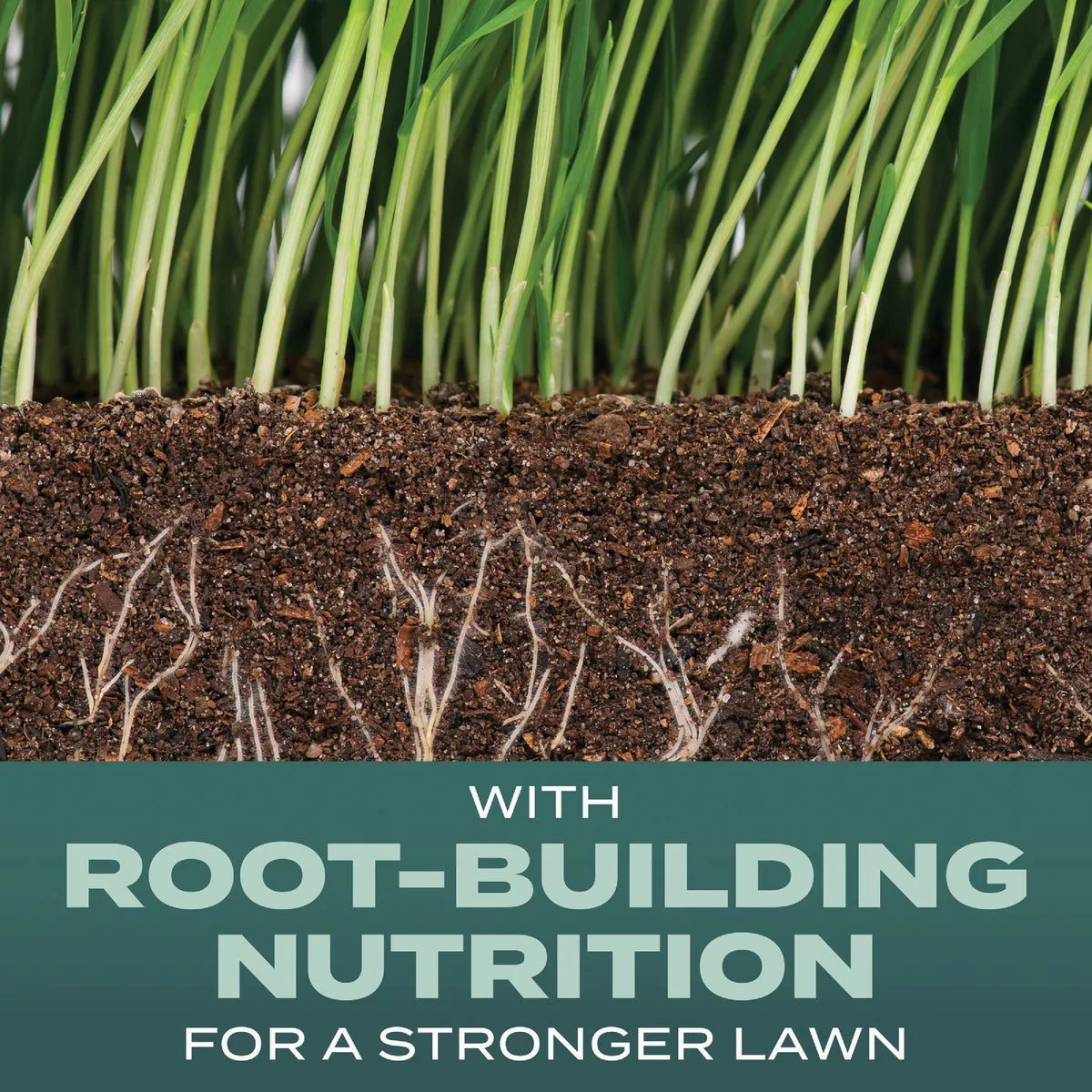 Scotts Turf Builder 2.4 Lb. 200 Sq. Ft. Dense Shade Mix Grass Seed, Fertilizer, and Soil Improver Combination - photo 2