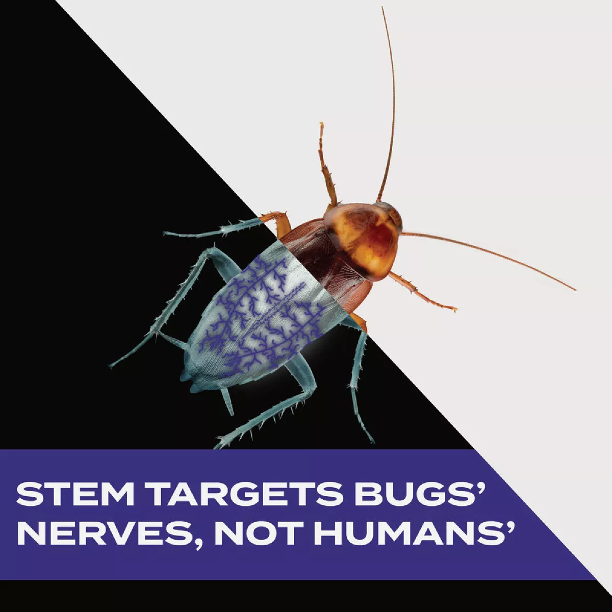 Stem 10 Oz. Aerosol Spray Crawling Insect Killer - photo 4