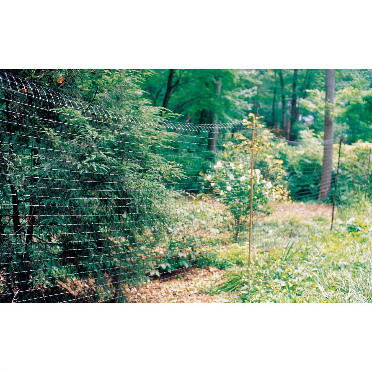 Tenax 7.5 Ft. H. x 100 Ft. L. Polypropylene Deer Fence, Black - photo 5