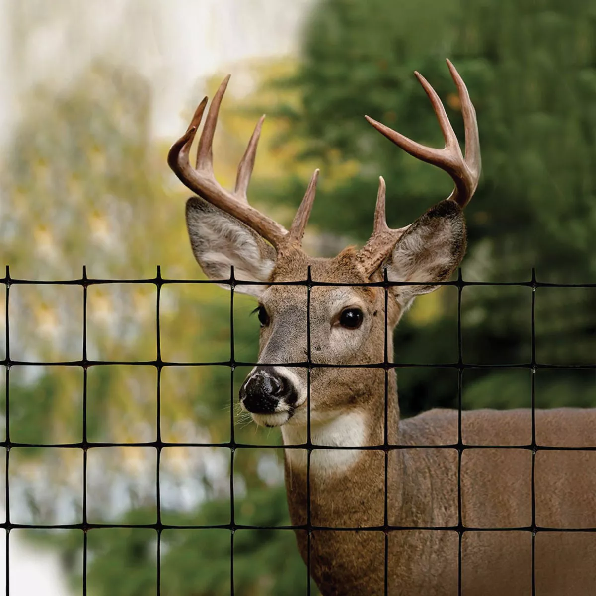 Tenax 7.5 Ft. H. x 100 Ft. L. Polypropylene Deer Fence, Black - photo 4