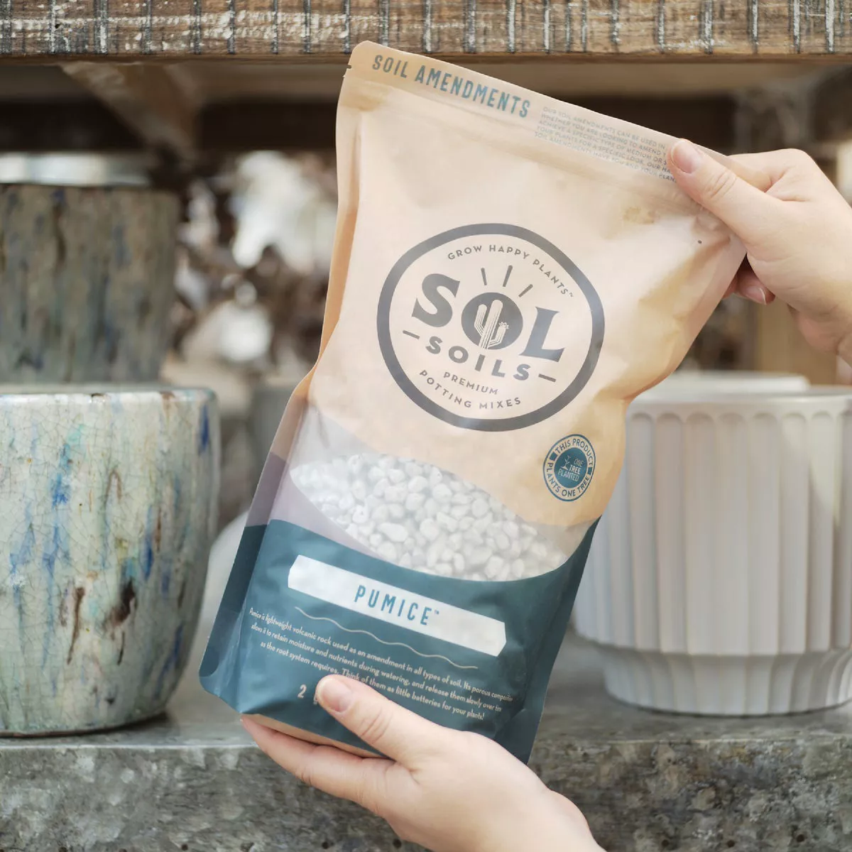 Sol Soils 2 Qt. Pumice | True Value Hardware