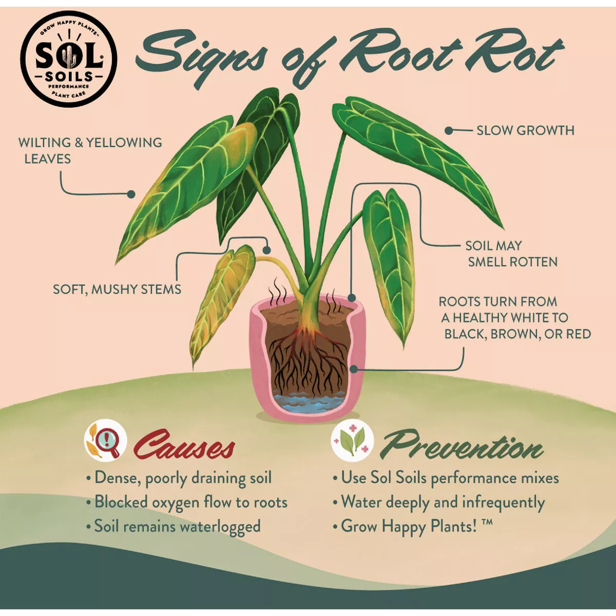 Sol Soils 4 Qt. Succulent Gritty Mix - photo 6