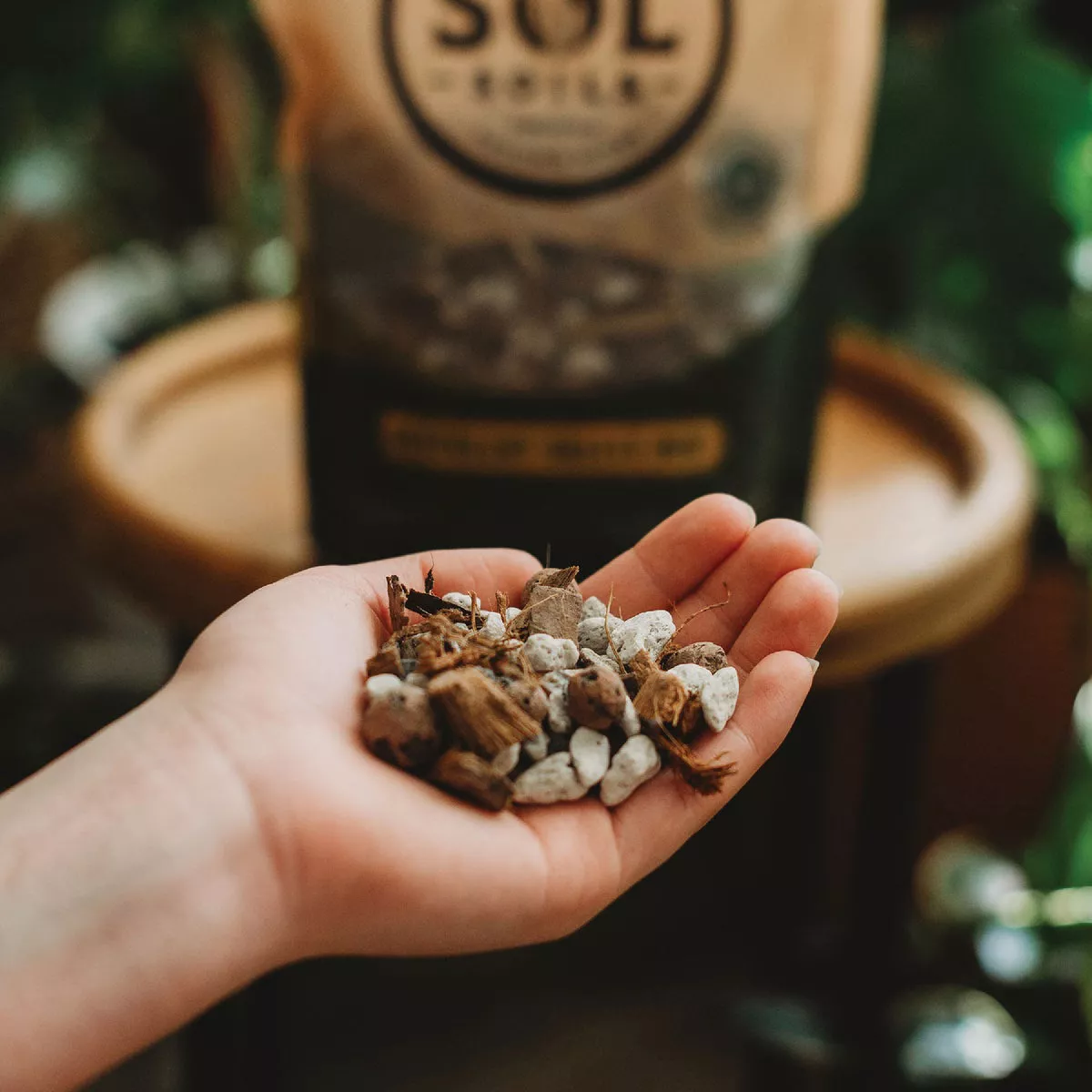Sol Soils 4 Qt. Succulent Gritty Mix - photo 2