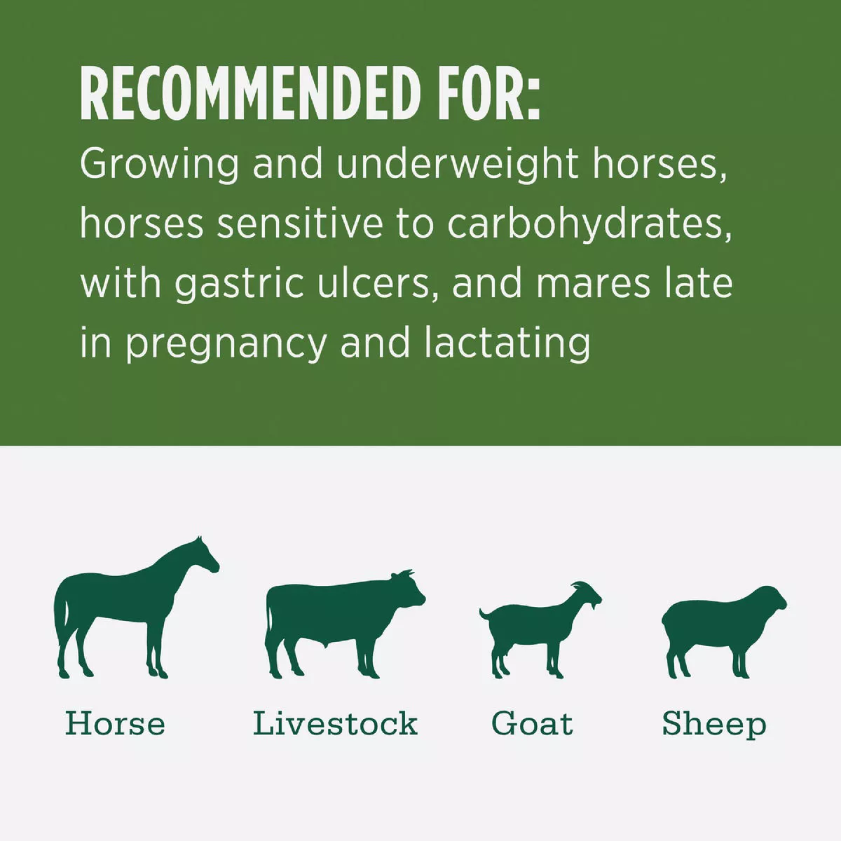 Standlee Premium Western Forage 50 Lb. Certified Alfalfa Grab & Go Compressed Bale - photo 3