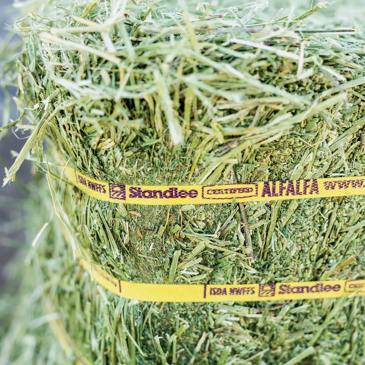 Standlee Premium Western Forage 50 Lb. Certified Alfalfa Grab & Go Compressed Bale - photo 7