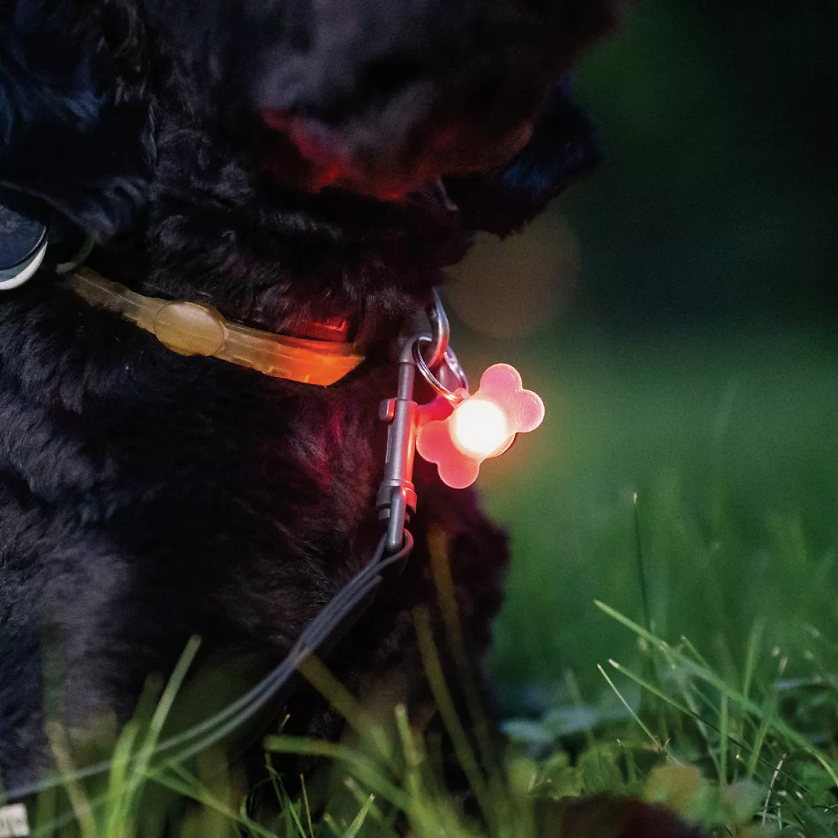 Brightz Pupbrightz Color Morphing 3V LED Collar Charm (2-Pack) - photo 3
