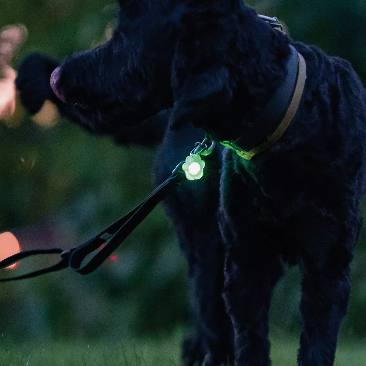 Brightz Pupbrightz Color Morphing 3V LED Collar Charm (2-Pack) - photo 2