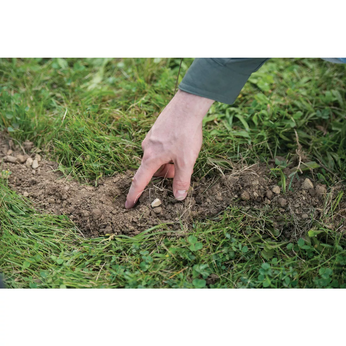 TOMCAT Mole Killer (10-Pack) - photo 4