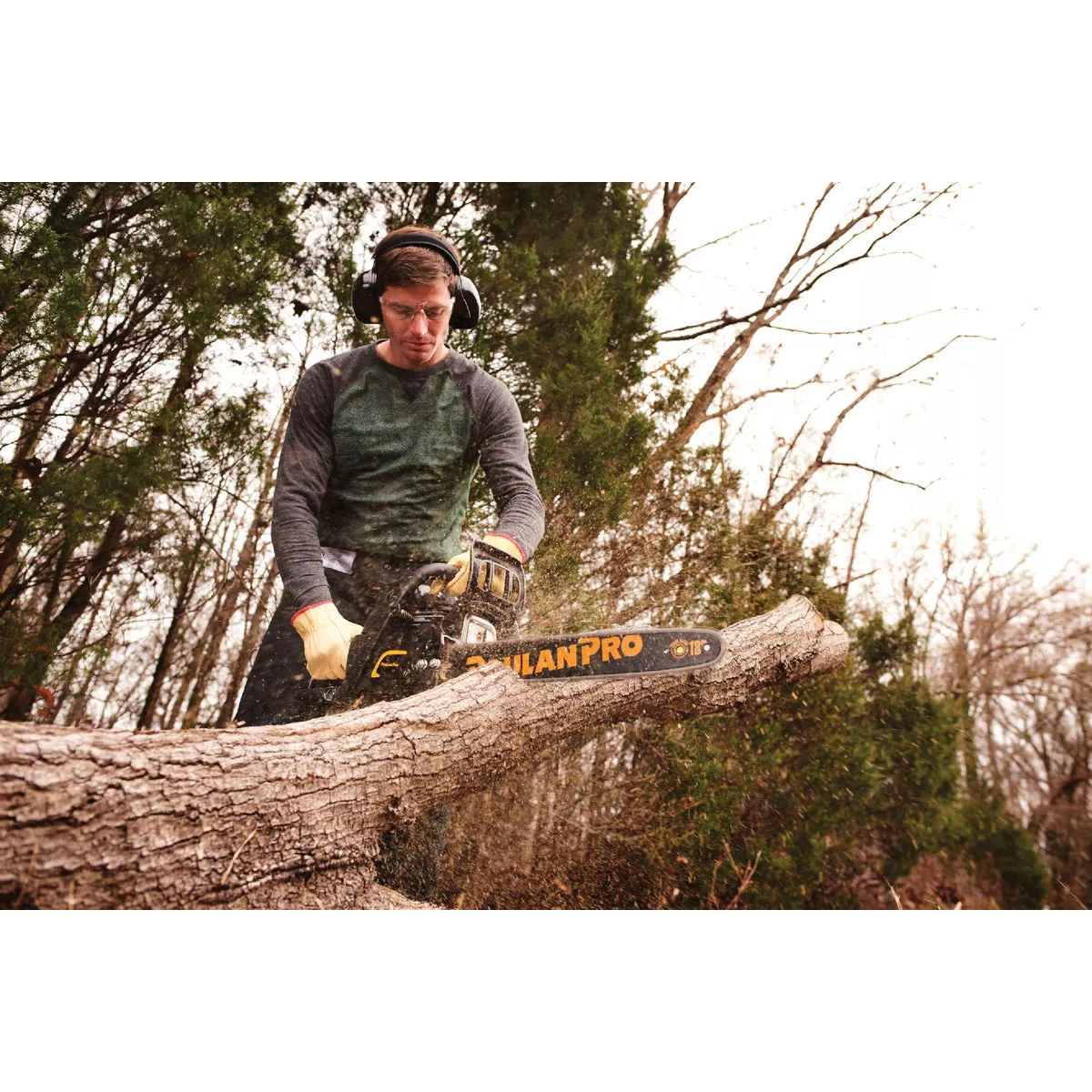 Poulan Pro PR4218 18 In. 42 CC Gas Chainsaw - photo 2