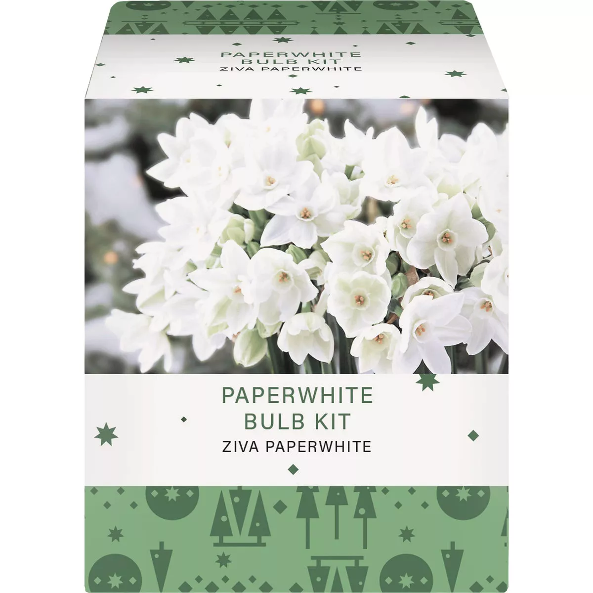 GSB Amaryllis Gift Box Flower Bulb - photo 4