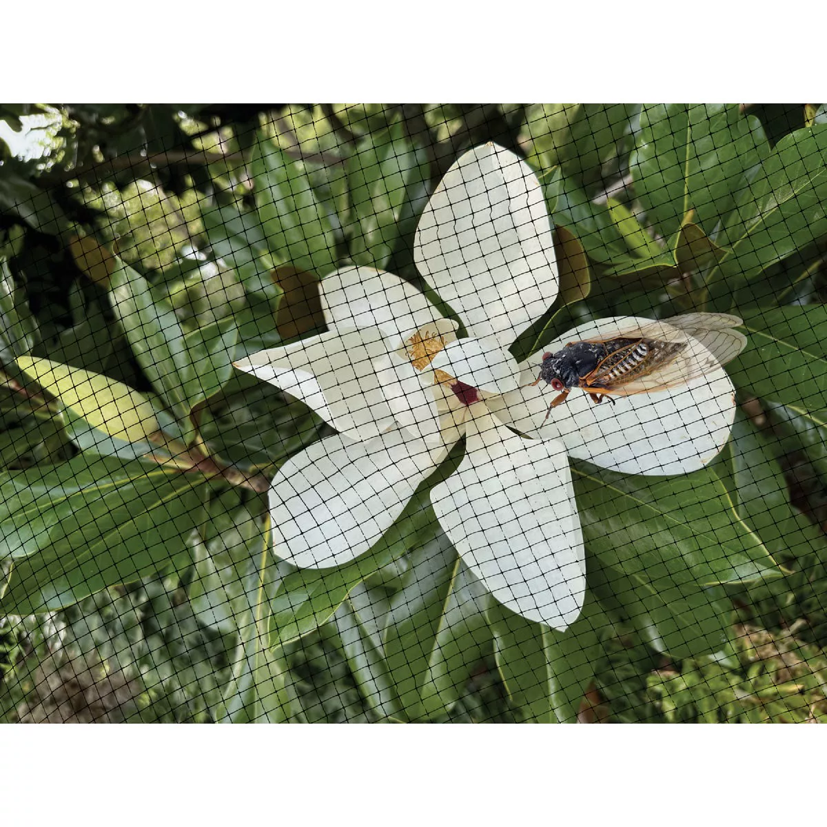 Dalen Cicada-X 3/8 In. Mesh 14 Ft. x 14 Ft. Protective Netting - photo 2