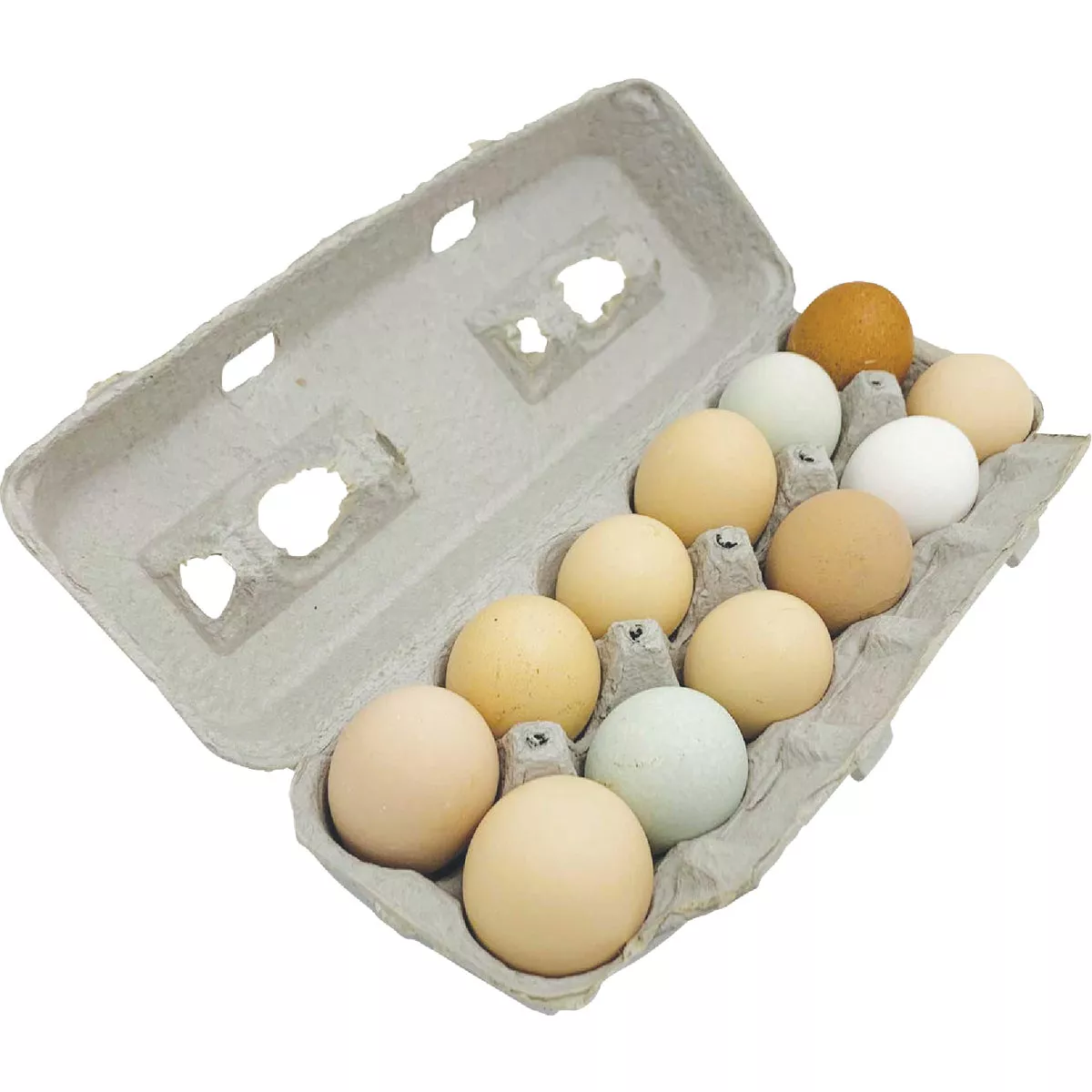 Stromberg's Large Blank Egg Carton (25-Count) - photo 2