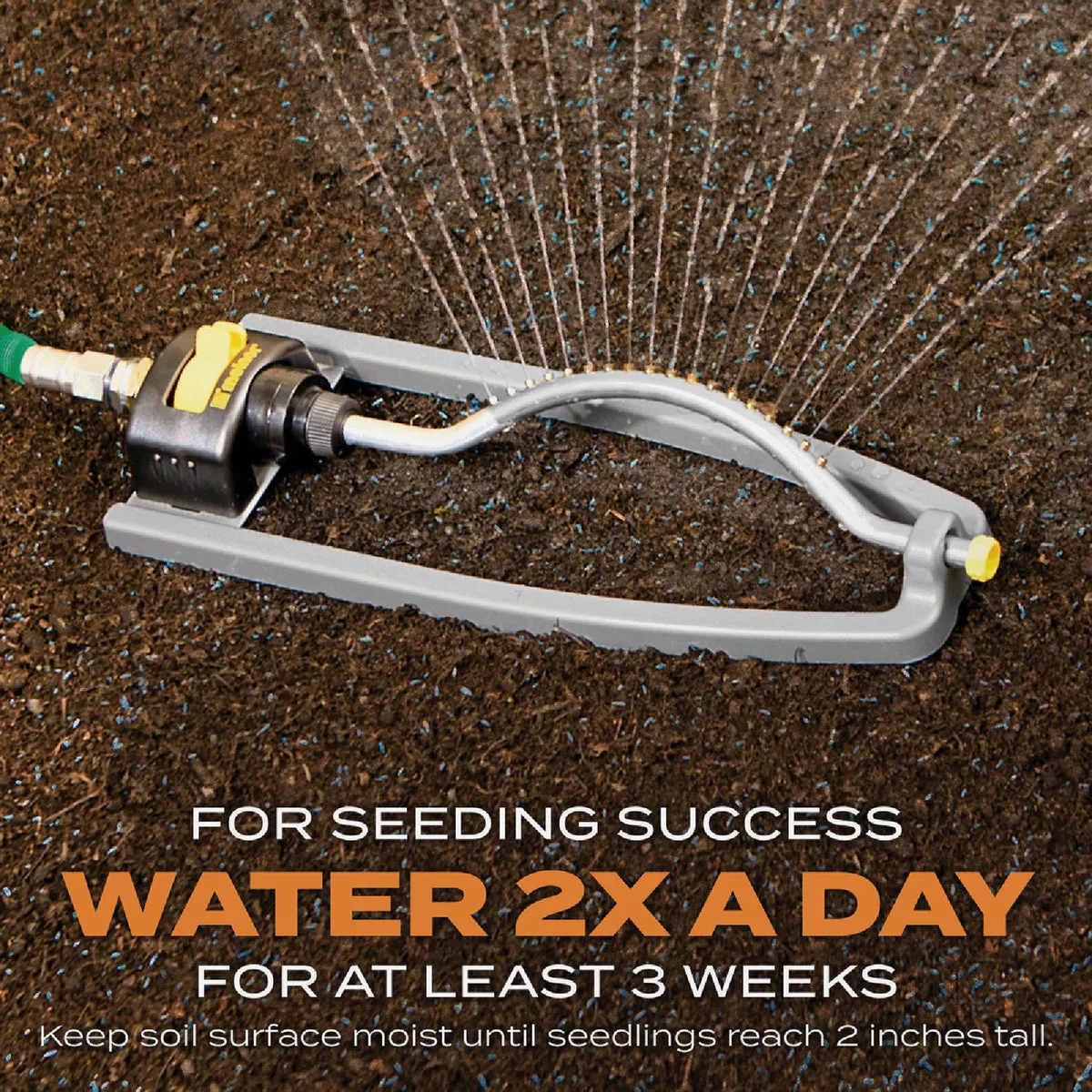 Scotts Turf Builder 1 Lb. 330 Sq. Ft. Bermudagrass Grass Seed, Fertilizer, and Soil Improver Combination - photo 6