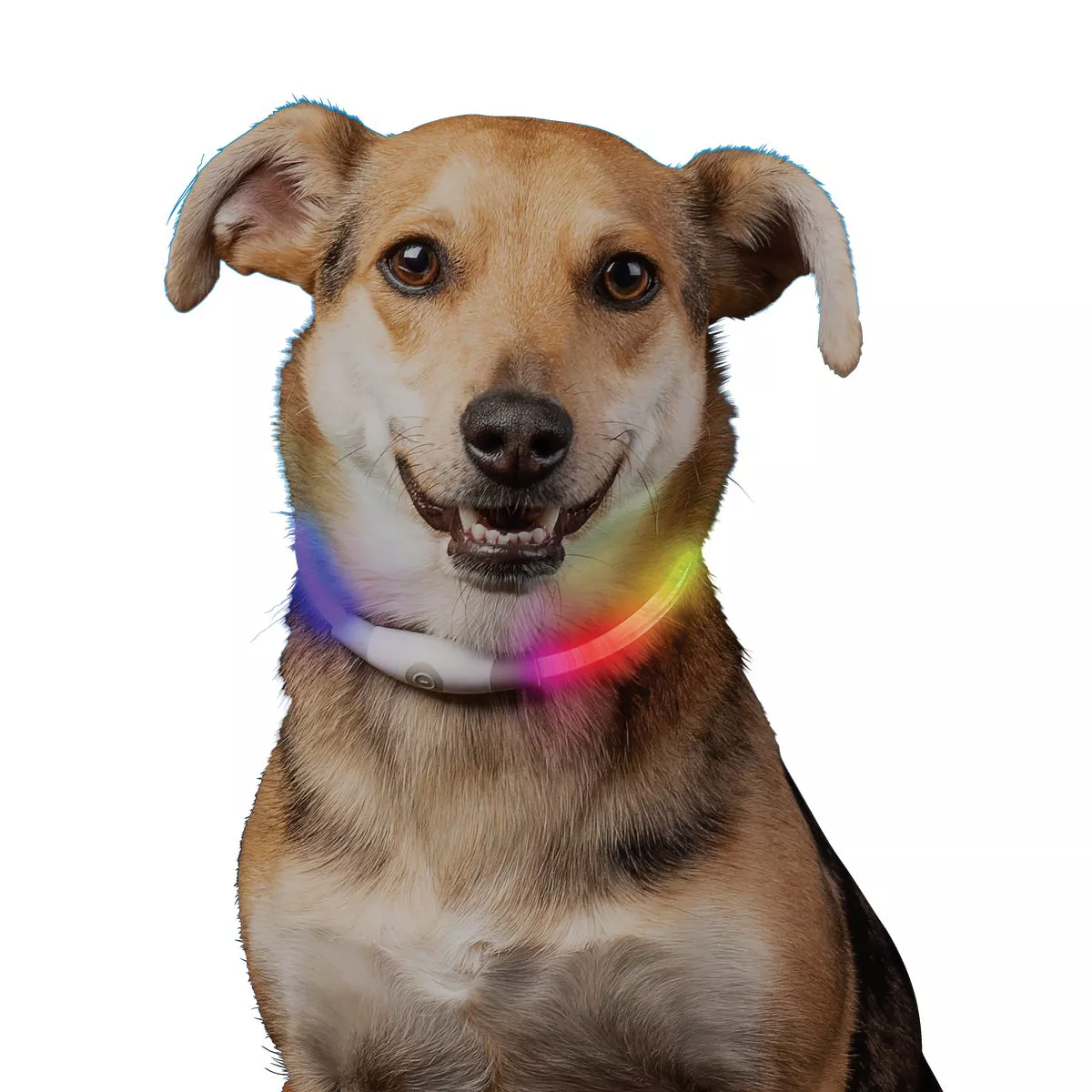 Nite Ize Nite Howl Lithium Polymer Rechargeable Color Changing LED Mini Safety Necklace - photo 3