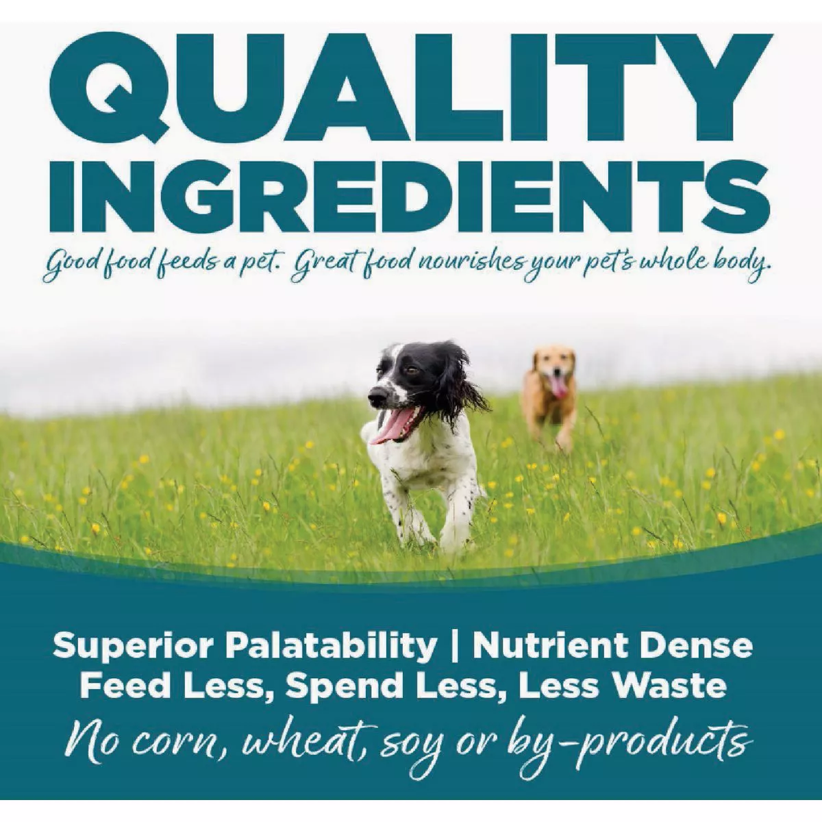 NutriSource 26 Lb. Chicken & Chicken Meal Recipe Weight Management Dog Food - photo 5